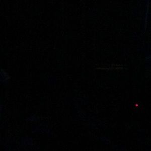 Meet your Posher, Tyree